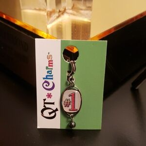 #1 Theme Dangle Charm  NWT